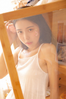 完美世界动画片